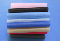 东莞生态园涤纶（PET）无纺布是什么